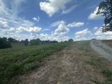 Tract 19 Pittsburg Landing Road - Photo 11