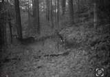 10976 Ky-59 - Photo 17