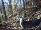 10976 Ky-59 - Photo 18
