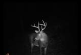 10976 Ky-59 - Photo 20