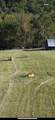 10976 Ky-59 - Photo 48