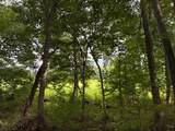 TBD Forge Mill - Photo 26