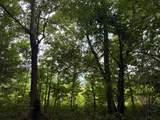 TBD Forge Mill - Photo 8