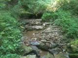 9999 Hales Fork Road - Photo 10