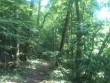 9999 Hales Fork Road - Photo 13