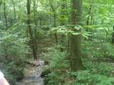 9999 Hales Fork Road - Photo 19
