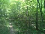 9999 Hales Fork Road - Photo 27