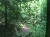 9999 Hales Fork Road - Photo 29