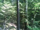9999 Hales Fork Road - Photo 8