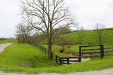 1332 Paris Road - Photo 145