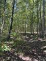3317 Cow Branch Road - Photo 15
