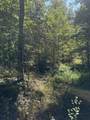 3317 Cow Branch Road - Photo 19