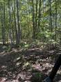 3317 Cow Branch Road - Photo 22