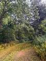 1232 Pleasant Grove Ridge Road - Photo 70