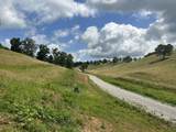 Tract 28 Pittsburg Landing Road - Photo 20