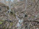 11 Williams Creek - Photo 32