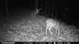 11 Williams Creek - Photo 39
