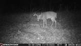 11 Williams Creek - Photo 40