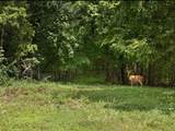 1040 Hargett Road - Photo 84