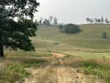 Tract 26 Pittsburg Landing Road - Photo 15