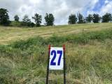 Tract 27 Pittsburg Landing Road - Photo 4