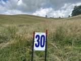 Tract 30 Pittsburg Landing Road - Photo 2