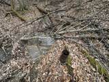 11 Williams Creek - Photo 29