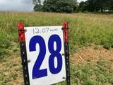 Tract 28 Pittsburg Landing Road - Photo 4