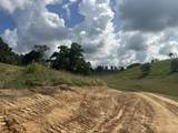 Tract 28 Pittsburg Landing Road - Photo 9