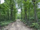 11 Williams Creek - Photo 14
