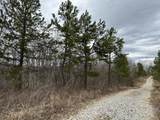 11 Williams Creek - Photo 16