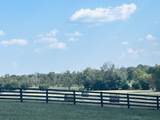 401 Richardson Lane - Photo 48