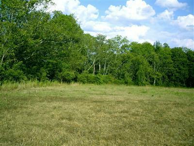 500 Chrisman Oaks Trail - Photo 1