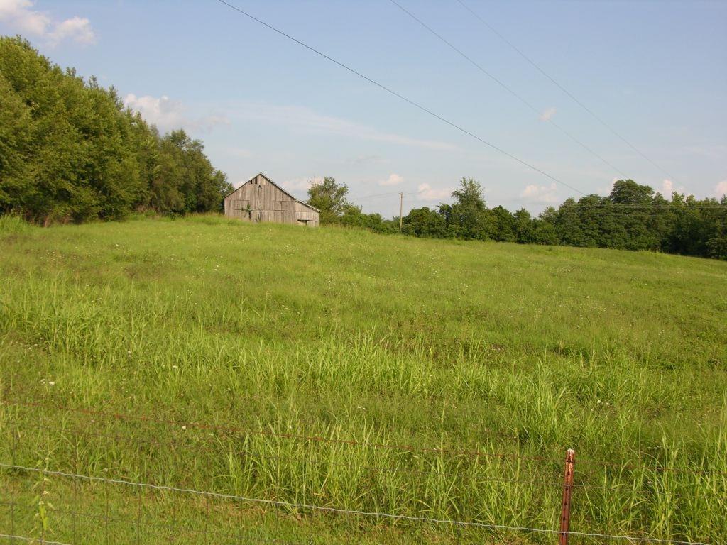 1194 Goggins Lane - Photo 1