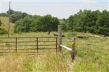 750 Dry Ridge Rd - Photo 1