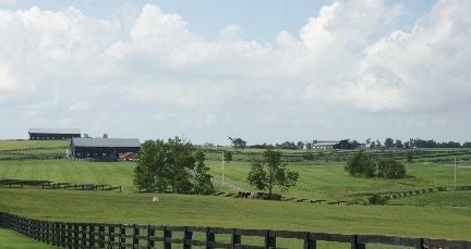 1275 Winchester Road - Photo 1