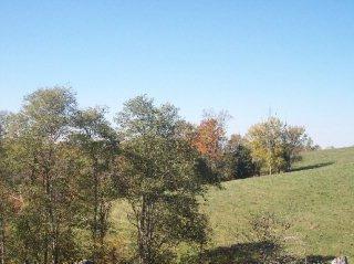 0 Tates Creek Road - Photo 1