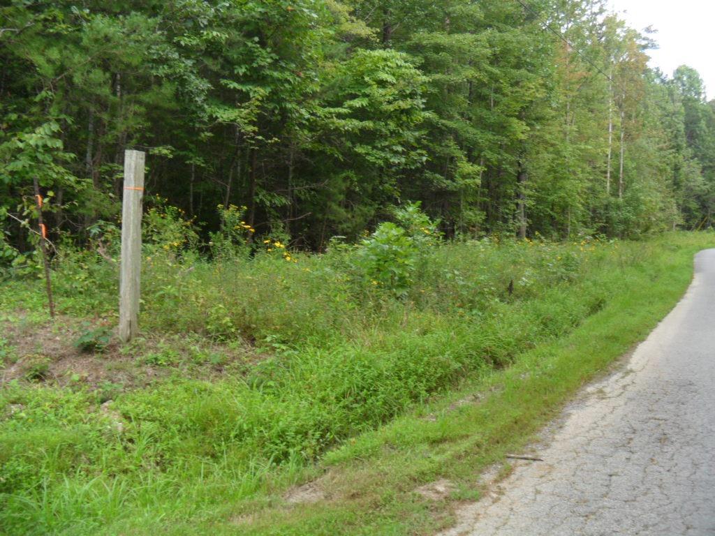 10 Pendleton Branch Road - Photo 1