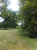 2309 Menelaus Road - Photo 1