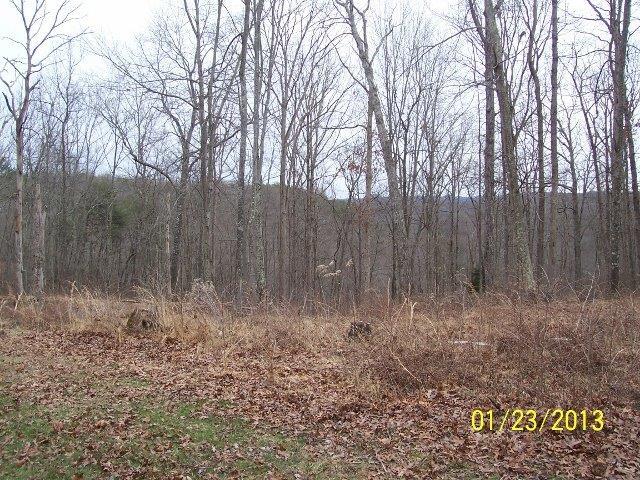 2 Highway 3345 - Photo 1