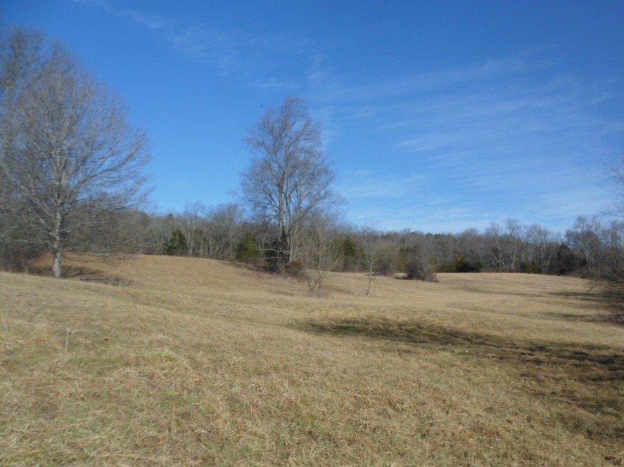 1 Brushy Run Road - Photo 1
