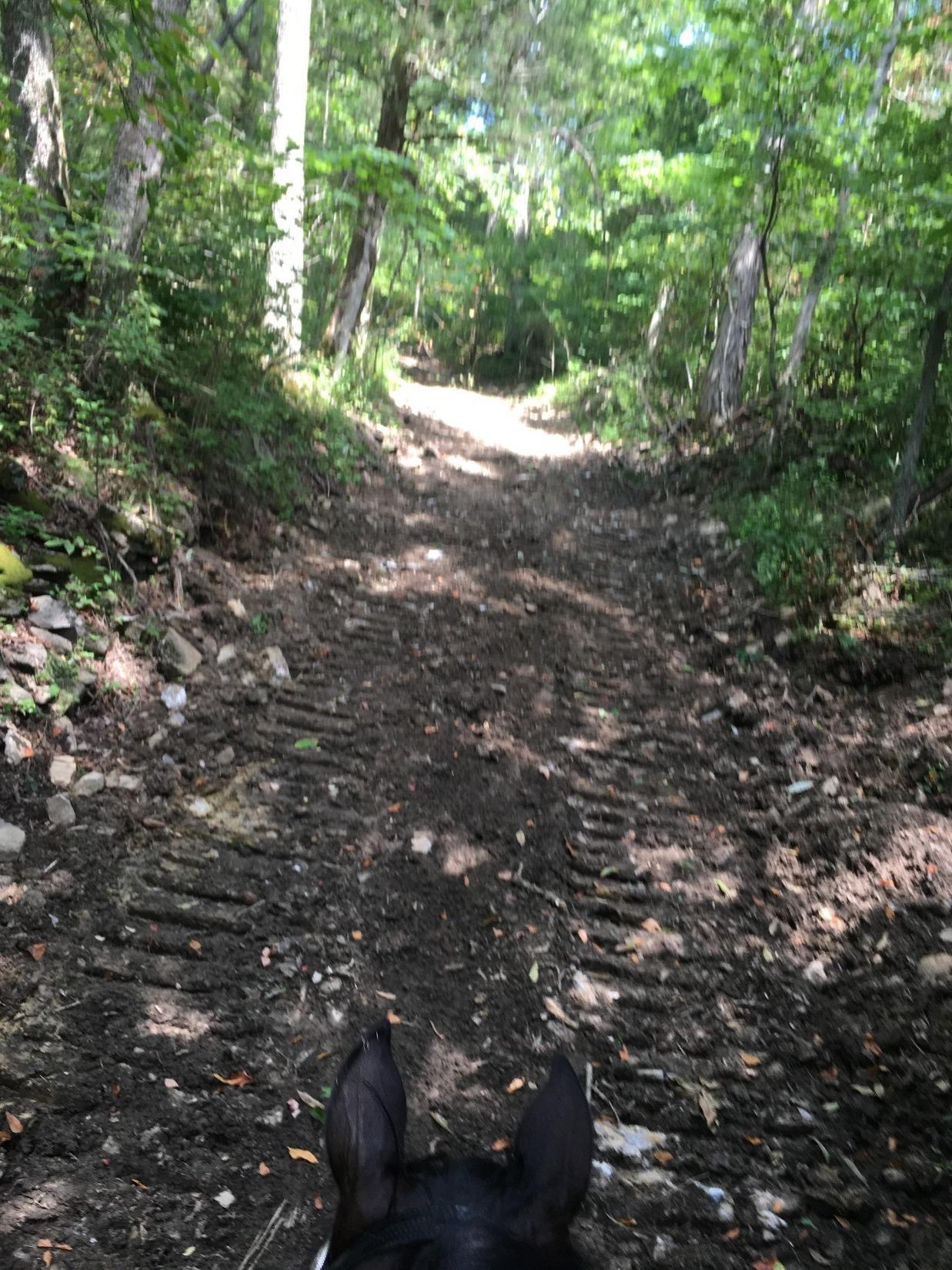 3601 Mt Tabor - Photo 1