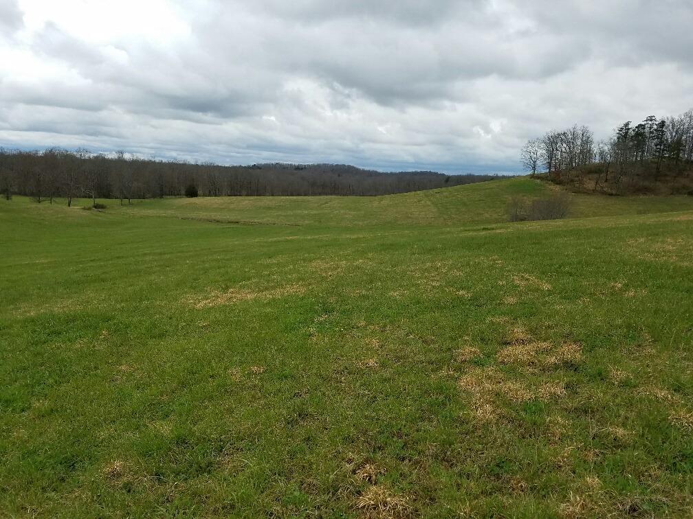 9999 Highway 521-Laurel Road - Photo 1