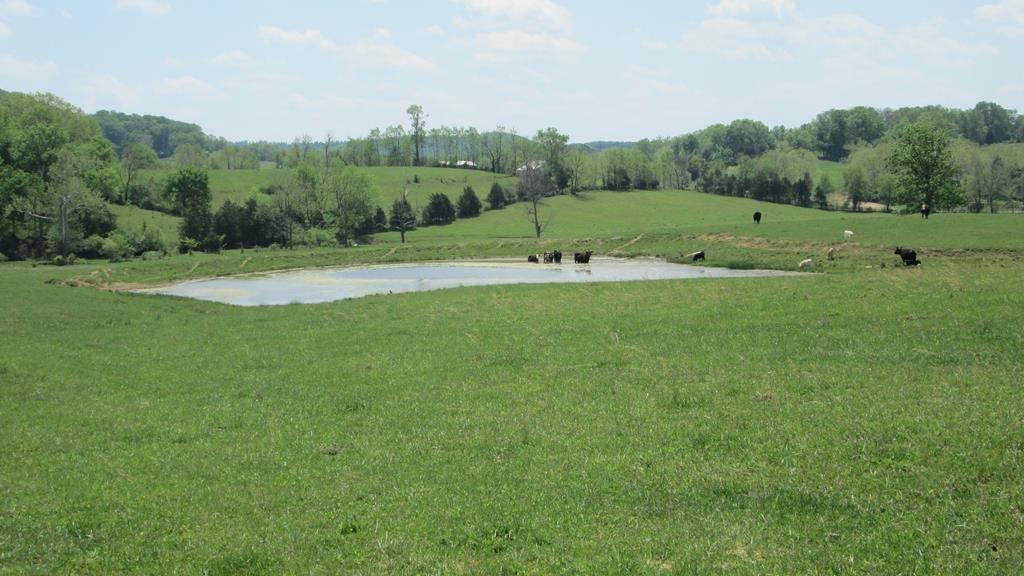 1 Kentucky 111 - Photo 1
