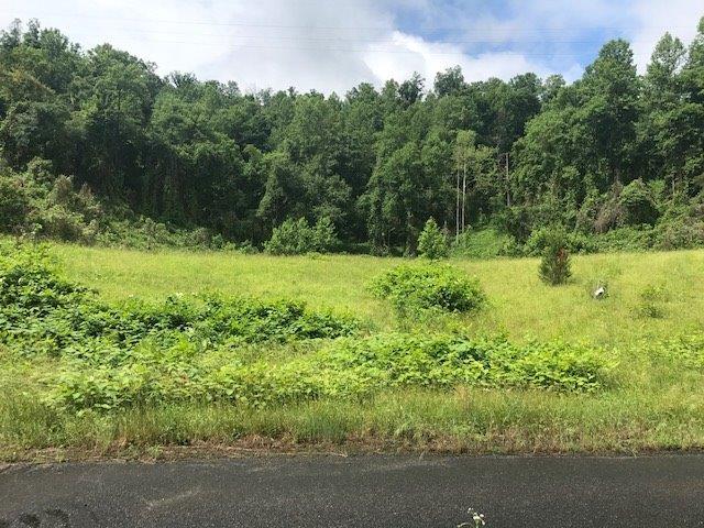 5800 Highway 25 - Photo 1