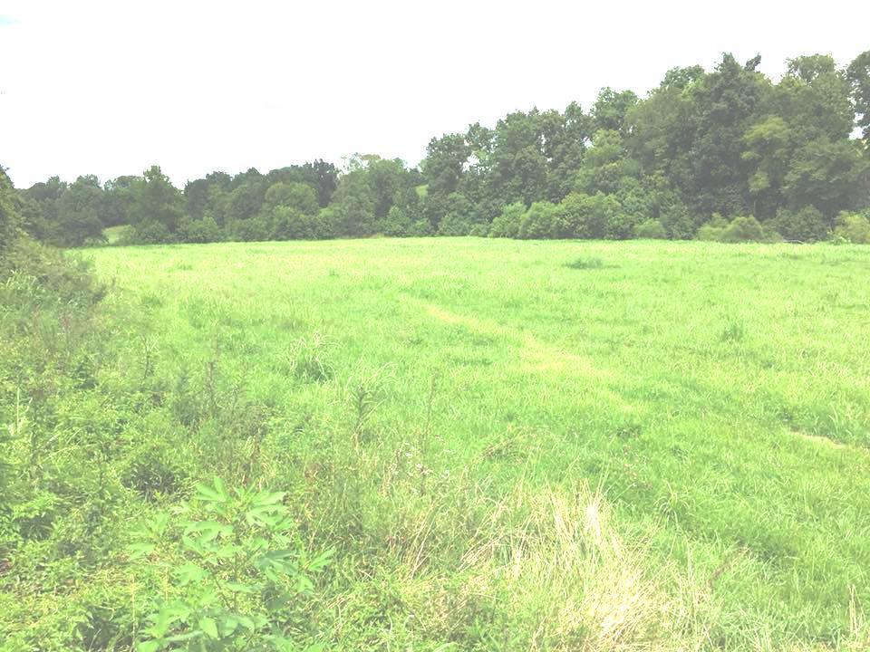 975 Stoner Ephesus Road - Photo 1