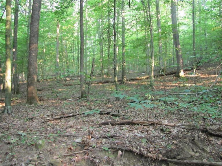 4213 Mcclain Cemetery Road - Photo 1