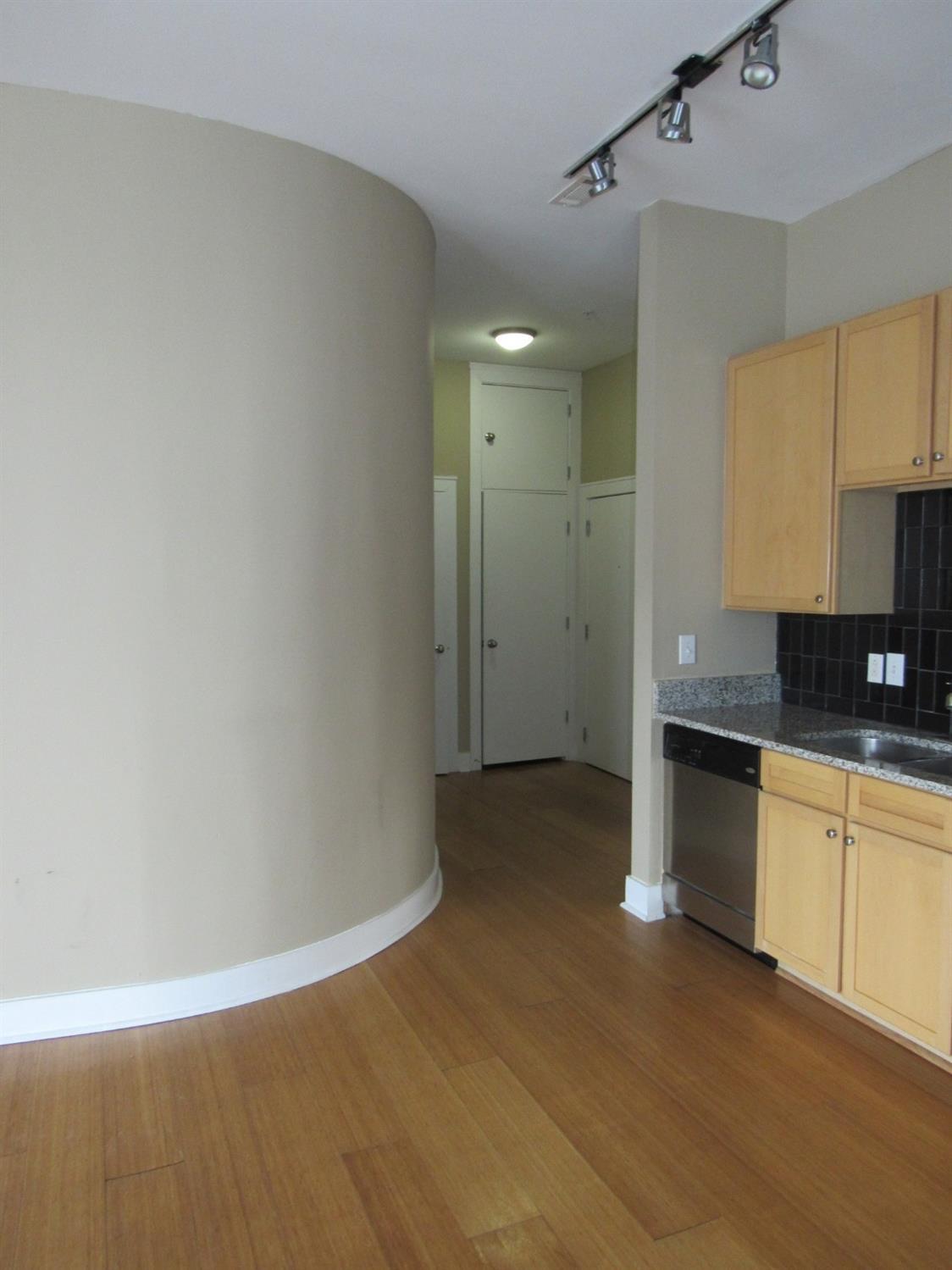 250 Martin Luther King Boulevard - Photo 1