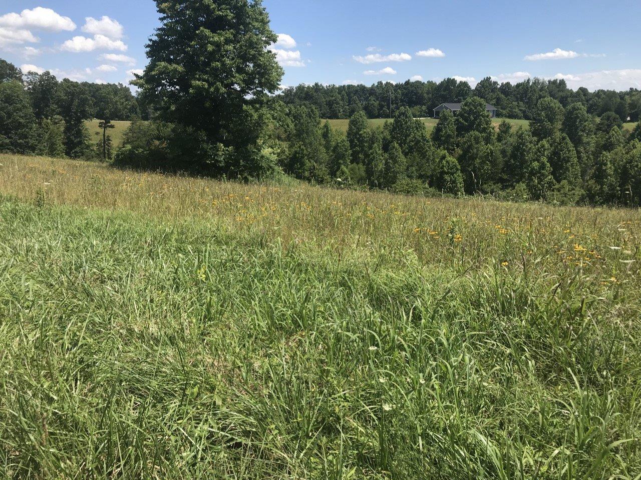999 Amos Ridge Road - Photo 1