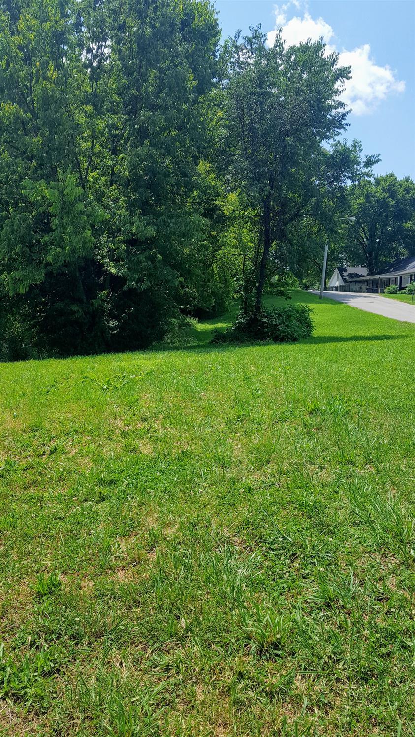 16 Letcher Avenue - Photo 1